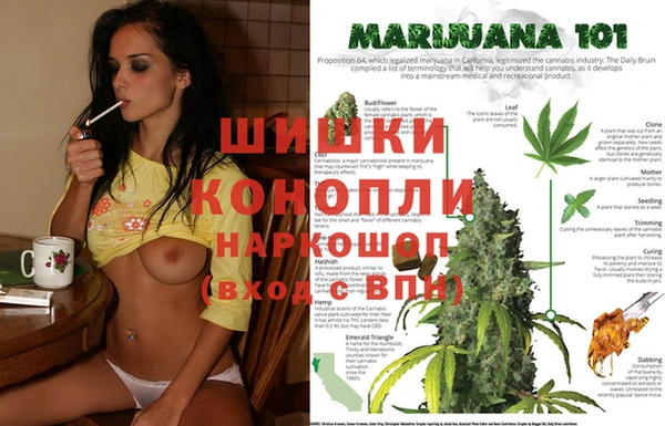 эйфоретик Новозыбков