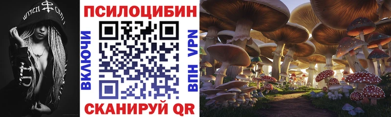 Галлюциногенные грибы MAGIC MUSHROOMS  кракен как войти  darknet Telegram  Нефтеюганск 