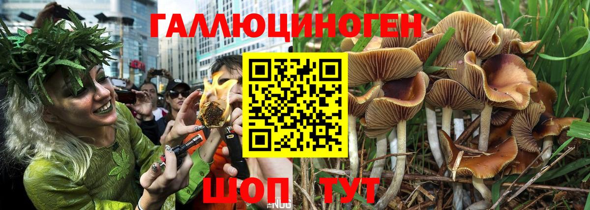 Псилоцибиновые грибы ЛСД Нефтеюганск